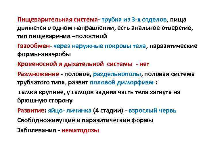 Пищеварительная система- трубка из 3 -х отделов, пища движется в одном направлении, есть анальное