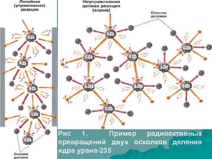 Рис 1. Пример радиоактивных превращений двух осколков деления ядра урана 235 