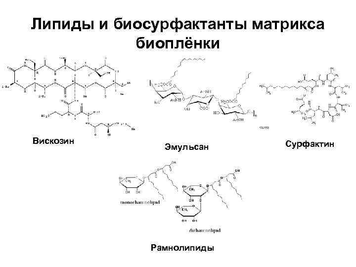 Липиды и биосурфактанты матрикса биоплёнки Вискозин Эмульсан Рамнолипиды Сурфактин 