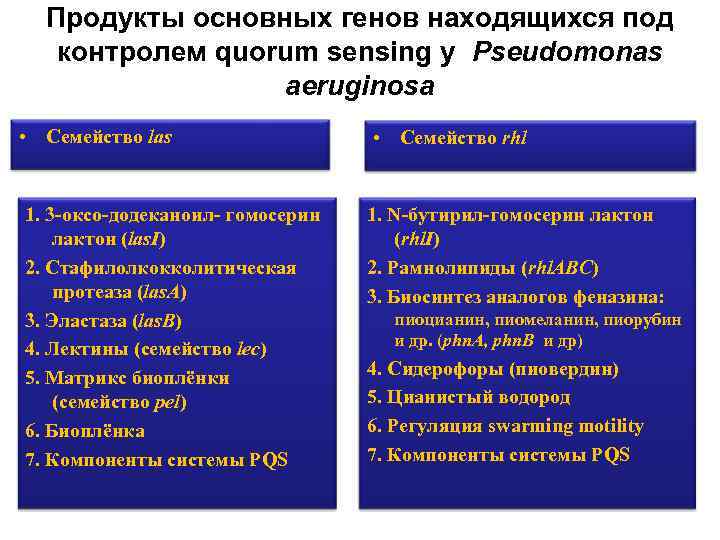 Продукты основных генов находящихся под контролем quorum sensing у Pseudomonas aeruginosa • Семейство las