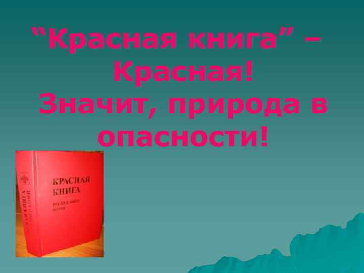 “Красная книга” – Красная! Значит, природа в опасности! 
