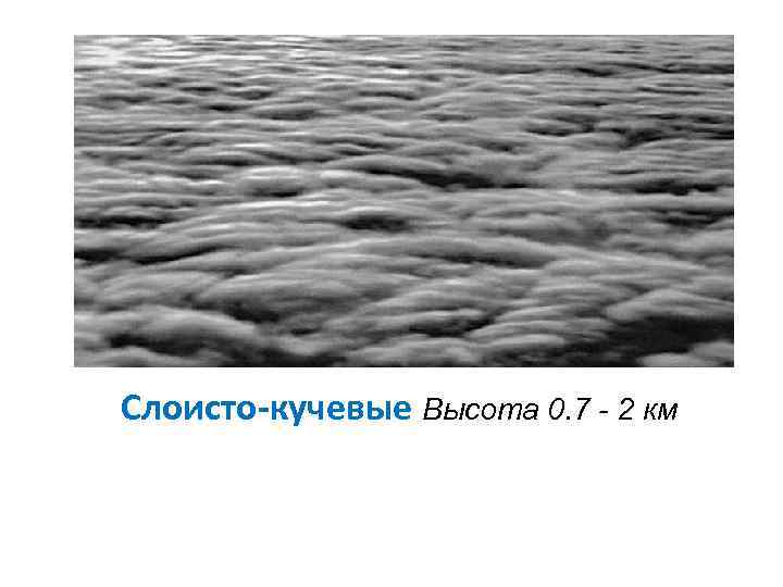 Слоисто-кучевые Высота 0. 7 - 2 км 