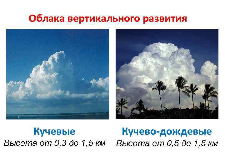 Облака вертикального развития Кучевые Кучево-дождевые Высота от 0, 3 до 1, 5 км Высота