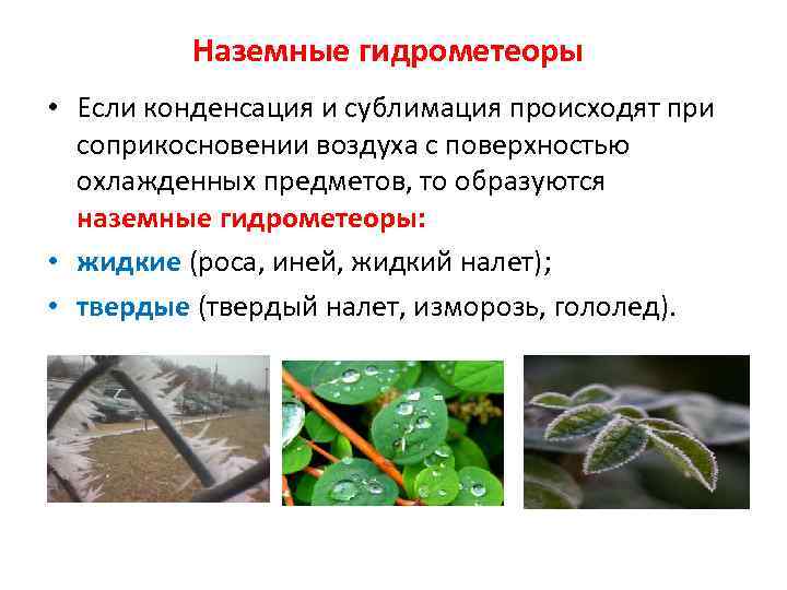 Наземные гидрометеоры • Если конденсация и сублимация происходят при соприкосновении воздуха с поверхностью охлажденных