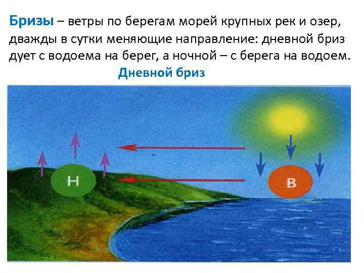 Бризы – ветры по берегам морей крупных рек и озер, дважды в сутки меняющие
