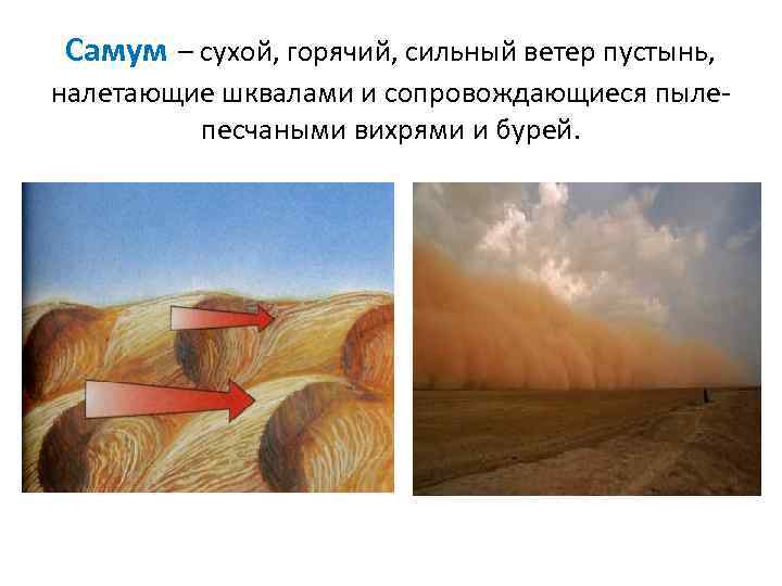 Самум – сухой, горячий, сильный ветер пустынь, налетающие шквалами и сопровождающиеся пылепесчаными вихрями и
