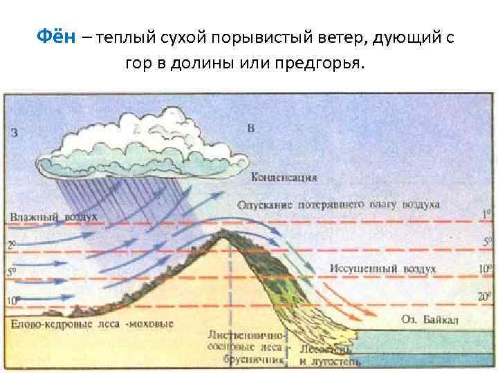 Фён – теплый сухой порывистый ветер, дующий с гор в долины или предгорья. 