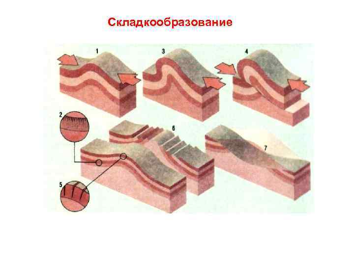 Складкообразование 