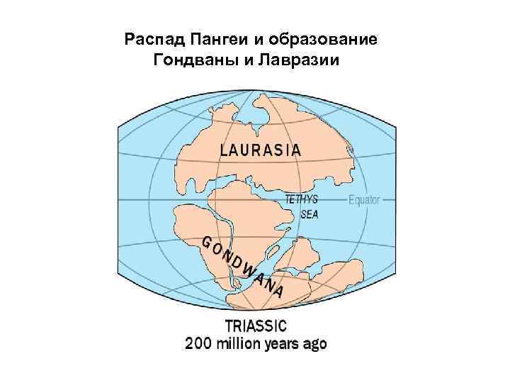 Распад Пангеи и образование Гондваны и Лавразии 