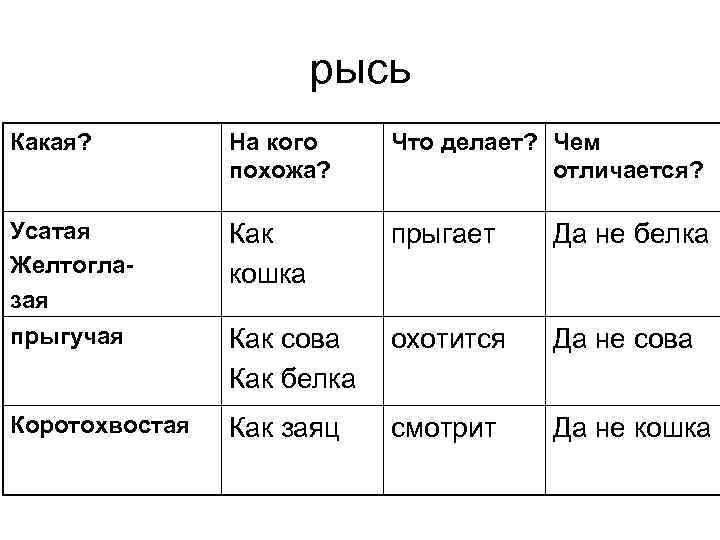 рысь Какая? На кого похожа? Что делает? Чем отличается? Усатая Желтоглазая Как кошка прыгает