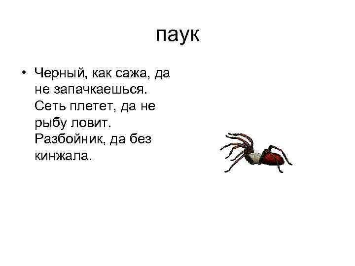 паук • Черный, как сажа, да не запачкаешься. Сеть плетет, да не рыбу ловит.