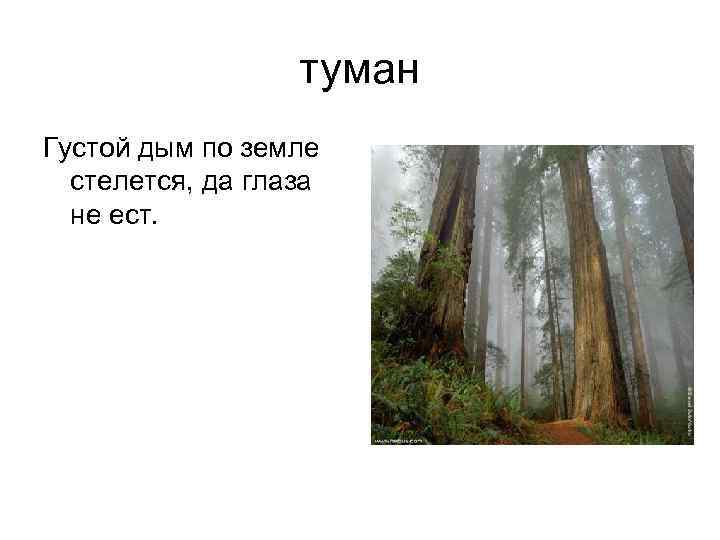 туман Густой дым по земле стелется, да глаза не ест. 