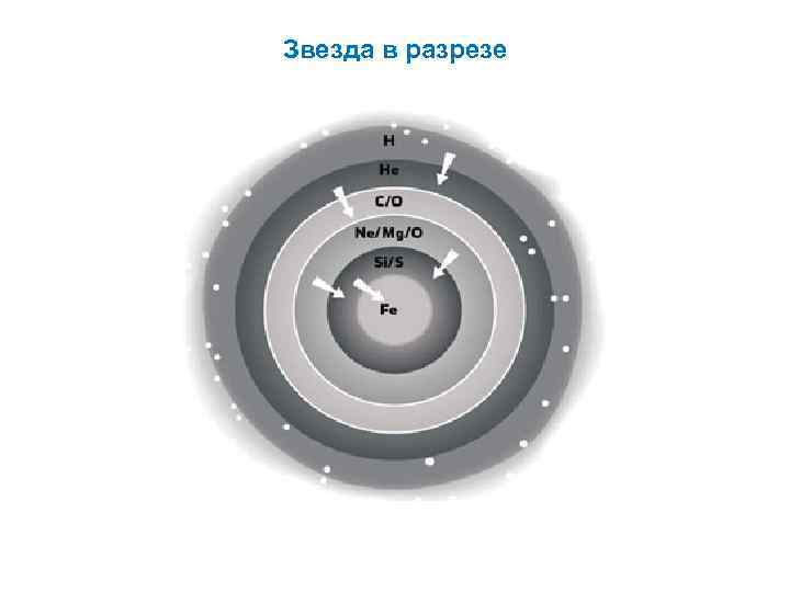 Звезда в разрезе 