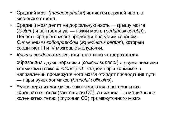  • Средний мозг (mesencephalon) является верхней частью мозгового ствола. • Средний мозг делят