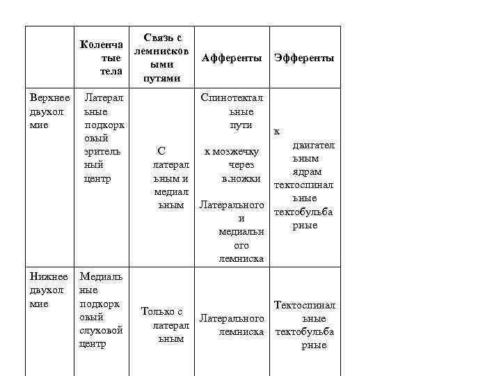 Коленча тые тела Верхнее двухол мие Нижнее двухол мие Латерал ьные подкорк овый зритель