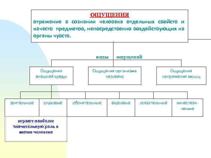 ОЩУЩЕНИЯ отражение в сознании человека отдельных свойств и качеств предметов, непосредственно воздействующих на органы