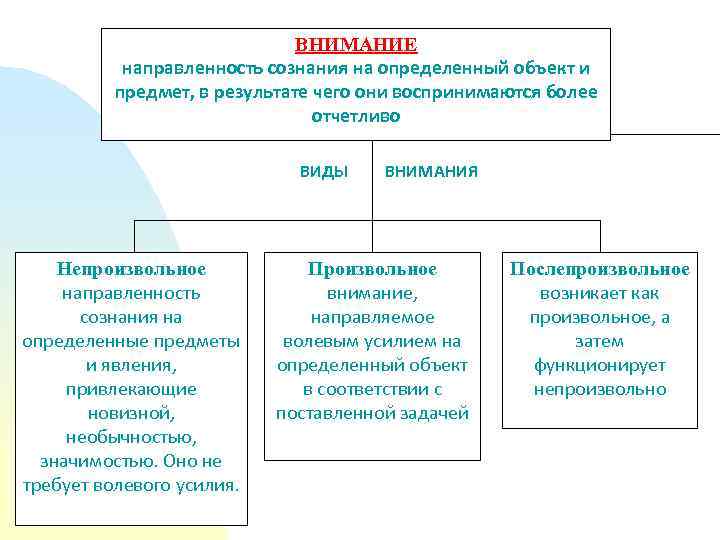 Внимание направленность сознания