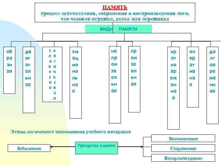 ПАМЯТЬ процесс запечатления, сохранения и воспроизведения того, что человек отражал, делал или переживал ВИДЫ