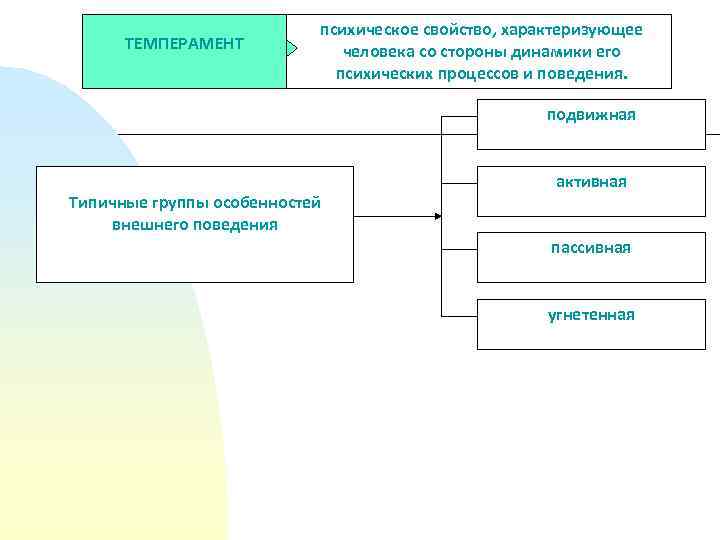 ТЕМПЕРАМЕНТ психическое свойство, характеризующее человека со стороны динамики его психических процессов и поведения. подвижная