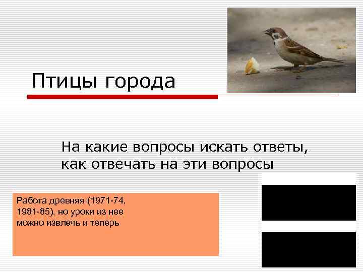 Какой город птицей. Вопросы про птиц. Птицы на какой вопрос отвечают. На какой вопрос отвечает птичка. Птица отвечает на вопрос кто или что.