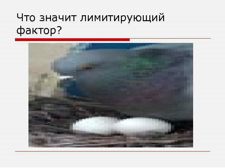 Что значит лимитирующий фактор? 
