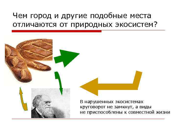 Чем город и другие подобные места отличаются от природных экосистем? В нарушенных экосистемах круговорот