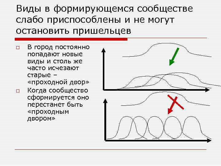 Виды в формирующемся сообществе слабо приспособлены и не могут остановить пришельцев o o В