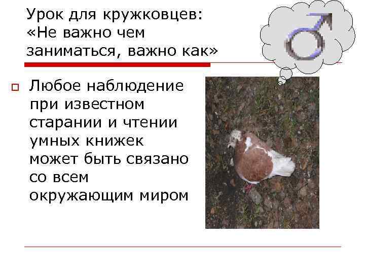 Урок для кружковцев: «Не важно чем заниматься, важно как» o Любое наблюдение при известном