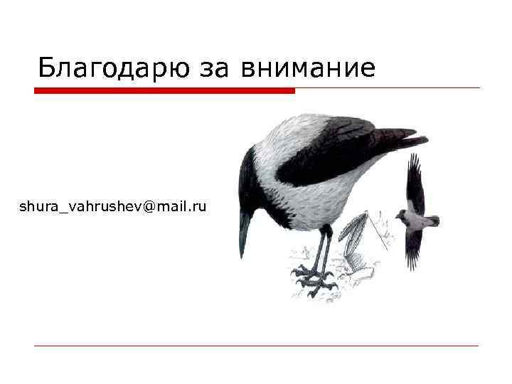 Благодарю за внимание shura_vahrushev@mail. ru 