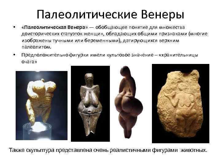 Палеолитические Венеры • • «Палеолитическая Венера» — обобщающее понятие для множества доисторических статуэток женщин,