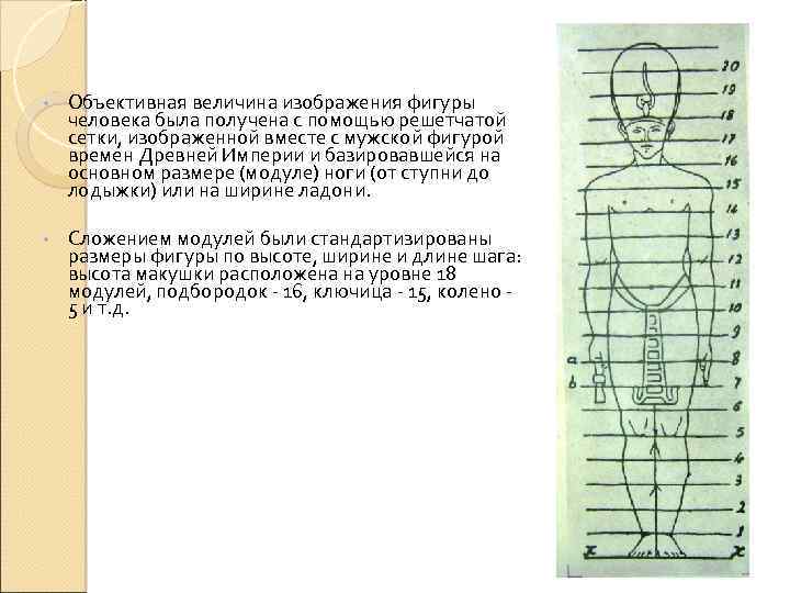  • Объективная величина изображения фигуры человека была получена с помощью решетчатой сетки, изображенной
