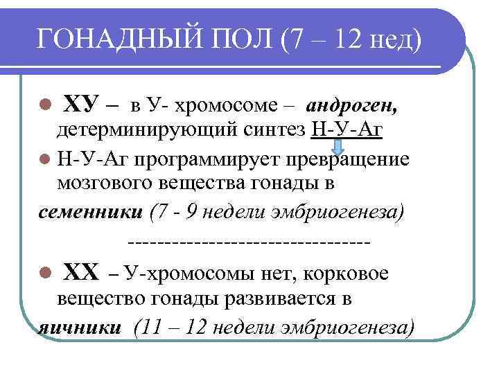 ГОНАДНЫЙ ПОЛ (7 – 12 нед) l ХУ – в У- хромосоме – андроген,