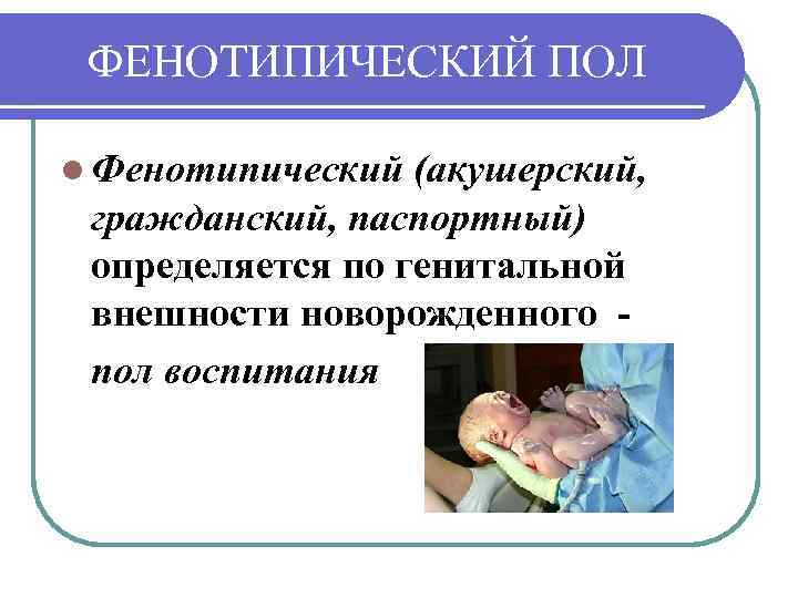 ФЕНОТИПИЧЕСКИЙ ПОЛ l Фенотипический (акушерский, гражданский, паспортный) определяется по генитальной внешности новорожденного пол воспитания