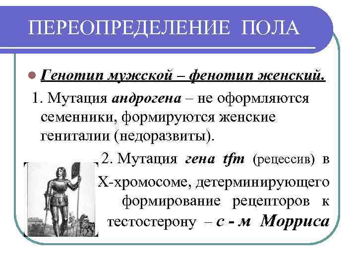 ПЕРЕОПРЕДЕЛЕНИЕ ПОЛА l Генотип мужской – фенотип женский. 1. Мутация андрогена – не оформляются