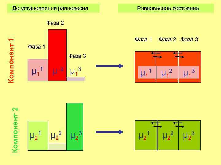 До установления равновесия Равновесное состояние Компонент 2 Компонент 1 Фаза 2 Фаза 3 Фаза
