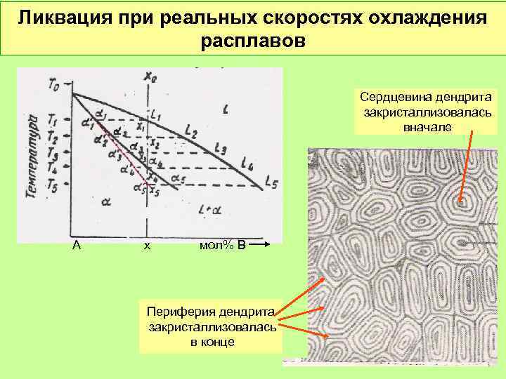 Ликвация при реальных скоростях охлаждения расплавов Сердцевина дендрита закристаллизовалась вначале А х мол% В