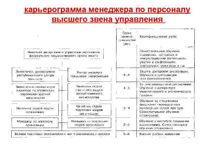 Руководство высшего звена это кто