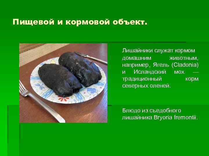 Пищевой и кормовой объект. Лишайники служат кормом домашним животным, например, Ягель (Cladonia) и Исландский