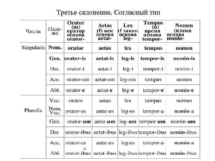 Падежи в латыни