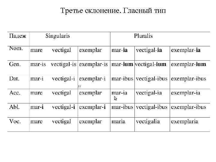 Третье склонение. Гласный тип 