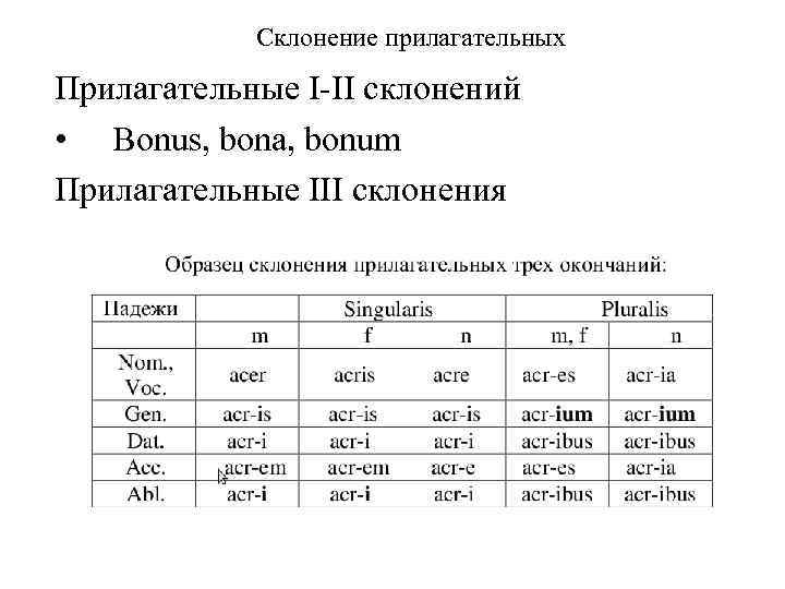 Просклонять 3 прилагательных. Прилагательные 3 склонения латынь. Прилагательные 3 склонения в латинском. Таблица склонения прилагательных латынь. 3 Склонение прилагательных латынь.