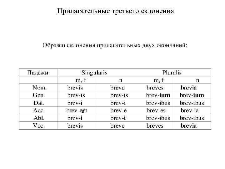 Прилагательные третьего склонения 