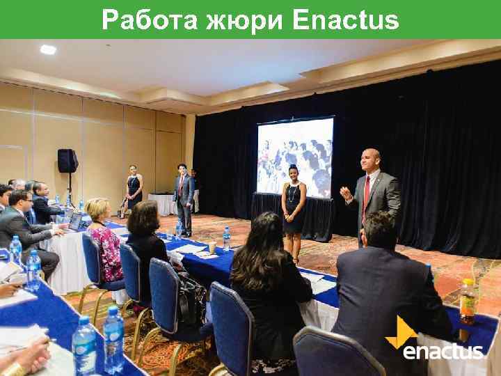 Работа жюри Enactus 