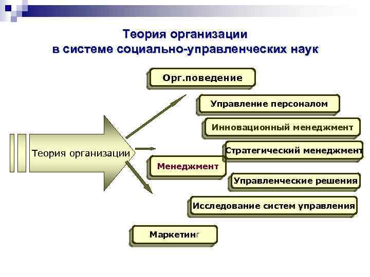 Теория организации в системе социально-управленческих наук Орг. поведение Управление персоналом Инновационный менеджмент Стратегический менеджмент