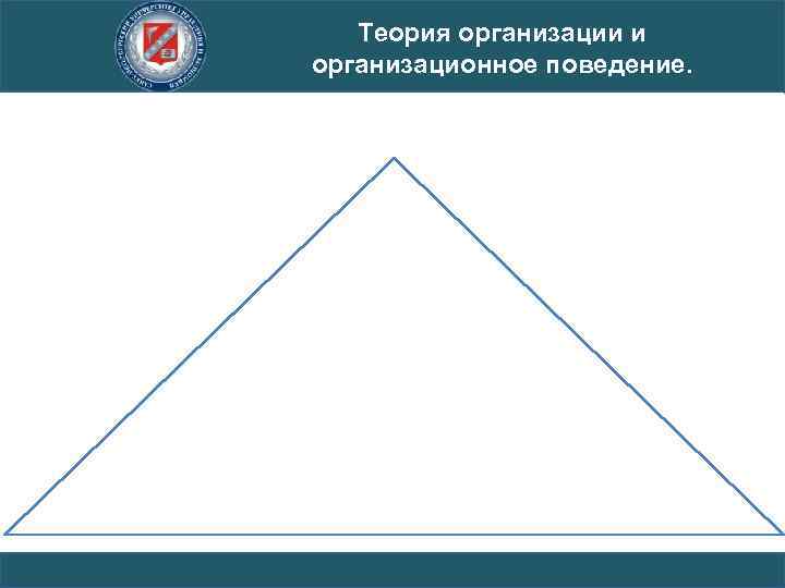 Теория организации и организационное поведение. 