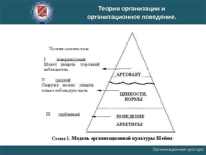 Теория организации и организационное поведение. Организационная культура 