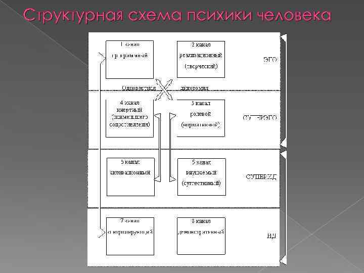 Структурная схема психики человека 