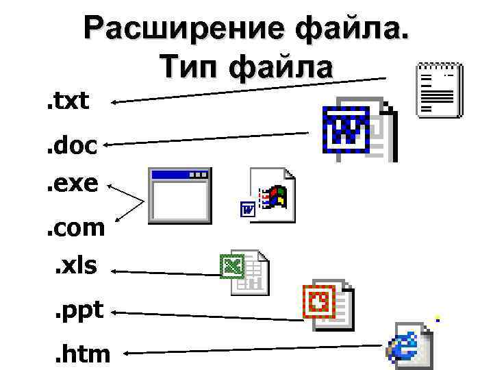 Расширение файла. Тип файла . txt . doc. exe. com. xls. ppt. htm 