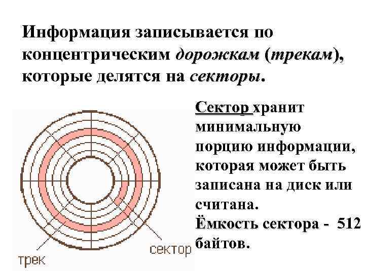 Информация записывается по концентрическим дорожкам (трекам), которые делятся на секторы. Сектор хранит минимальную порцию