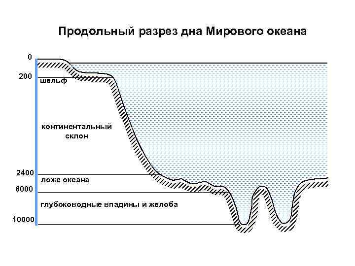 Какой цифрой на рисунке обозначен континентальный склон